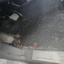 스팀바다 중문점 네이버블로그