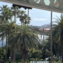 제주테디베어뮤지엄 | 제주1일차 서귀포시 박한철꽈배기, 은설식당, 테디베어뮤지엄 후기