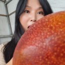 덕치농장 네이버블로그