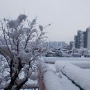 서울금천초등학교 이미지