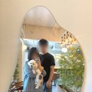 팔봉수피아 이미지