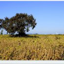 동진강변공원 이미지