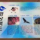 최용순농장 이미지