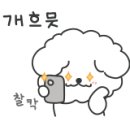 발발펫 네이버블로그