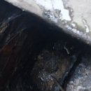 하남식당 이미지