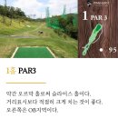 파인스크린골프(427) | 아산 파인허스트골프클럽 파3골프장 노캐디 2인플레이 평일