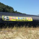 두밀촌 낚시터 이미지