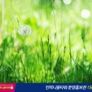 죽림석유 이미지