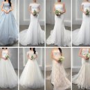 블랑드블루민박 | 누벨드블랑 촬영드레스 가봉 셀렉 후기 촬영드레스 모음집 공유