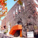 주식회사아라리오 이미지