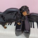 행복한요나네 이미지