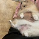 날뫼식당 이미지