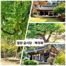 활성동 밀양시국궁장 | 밀양, 금시당 백곡재ㆍ은행나무와 고목이 아름다운