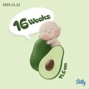 삼오돈까스 | P06. [임신 중기] 16-17주 안정기에 진입하다