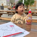 알로3 농장 | 강원도 춘천 딸기 체험 알로록딸기농장 27개월아들이랑 다녀왔어요!