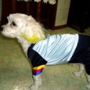 장미한복 이미지