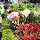 청파동주민센터 이미지