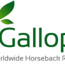 몽골 전문 여행사 :주식회사 갤롭투어 이미지