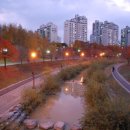 분당-219 이미지