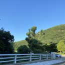 홀시드카페 앞 이미지