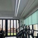 센티프짐 이미지