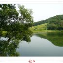안국지 이미지