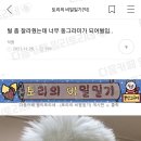 동그라미 Daum카페
