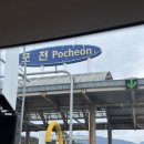 A8 | 포천 나무새캠핑장 데크존 A8 사이트 애견동반 캠핑 후기