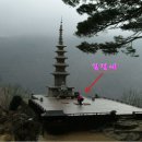 정애네 이미지