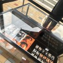 아지트(Hide out) | 늦어버린 엔플라잉 HIDE-OUT 후기 1편 (240608)