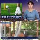 오라모텔 이미지