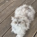 삐끄니끄 펜션 이미지