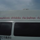 응급환자이송단 Daum카페