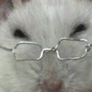 눈아들 내가삿던 동전주 이재명관련주라서 엄청올랏거든 이미지