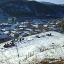 동산장 이미지