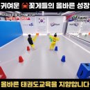 효단태권도장 이미지
