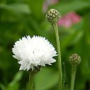 (주)수레 이미지