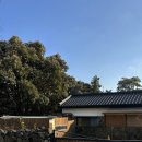 서광이지 이미지