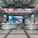 2014-주041 | 아산 스파비스 후기｜천안 아산 근교 워터파크 온천 추천