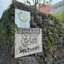 제주코기네 | 제주도 애견동반 숙소 제주코기네, 잔디 마당과 수영장이 있는 독채 펜션