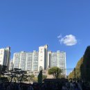 삼성피앤비 | 2023 하반기 금호석유화학 신입채용 인적성 후기(불합)