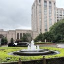 준 | W23. 웨딩 상하이스냅 준스튜디오 촬영 후기