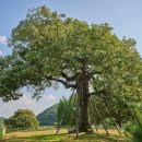 옥대초등학교단산분교장 이미지