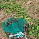 유진어린이집 이미지