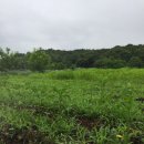 김학렬농장 이미지