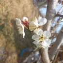 희수농장 이미지