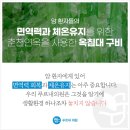 푸르내의원 이미지