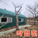 전원말8길 3 | 전원주택 나무제거 벌목 안전 작업 후기