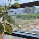 카페태그25 이미지