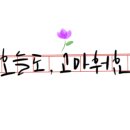 꽃피는 서정